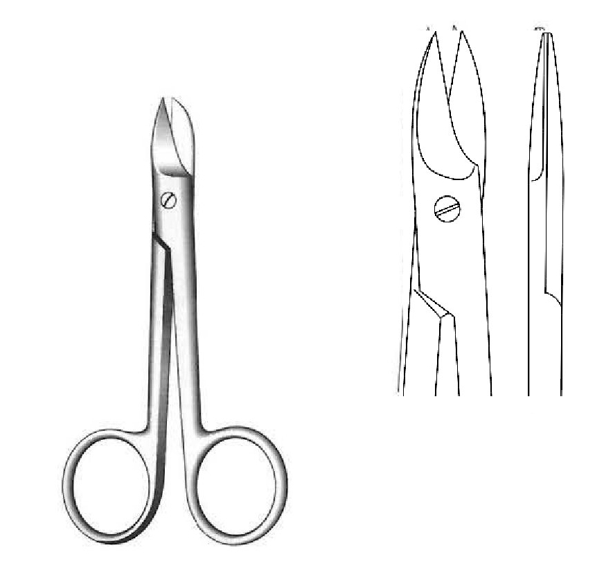 Tijera recta para laboratorio, metal, Coronas Beebee - Longitud de 10 cm