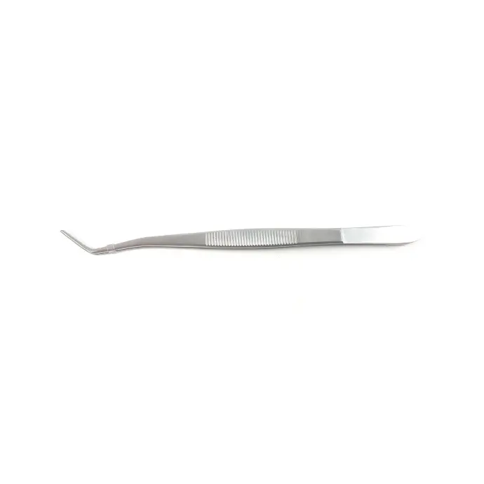 Cotton and Dressing Forceps without Lock, London College - Length 15 cm