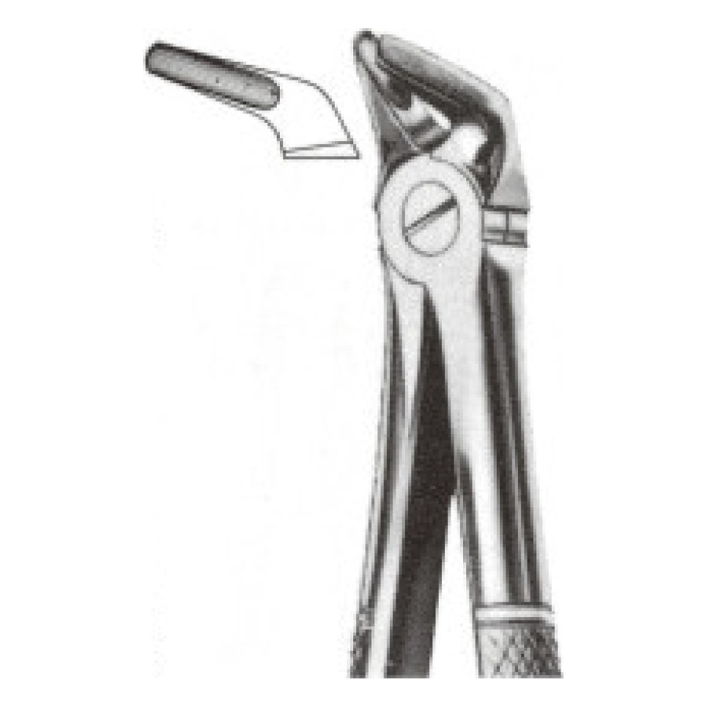 Extraction Forceps Figure 08, Canines and Premolars