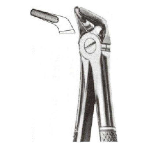 [IU-02-08] Extraction Forceps Figure 08, Canines and Premolars