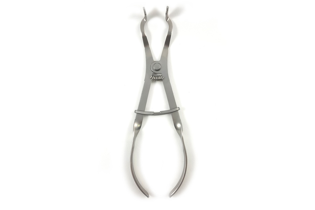 Ivory rubber dike punch, 17 cm / 6-3 / 4 "