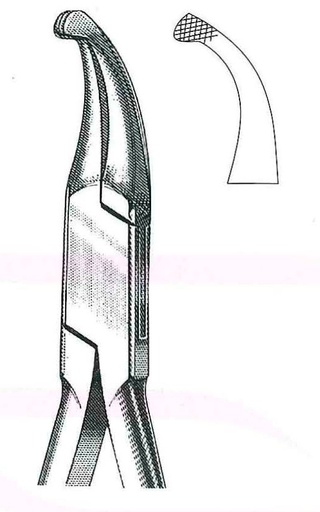 [IU-10925] Still to contour crowns and bands, 12.5 cm / 5 "