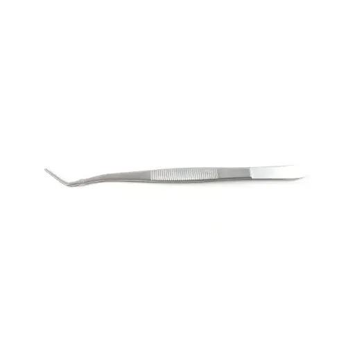 [IU-08984] Pinza sin grapa, para Algodon y Apositos London College - Longitud de 15 cm