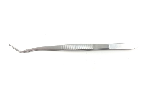 [IU-08984] Pinza sin grapa, para Algodon y Apositos London College - Longitud de 15 cm