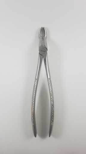 [IU-02-67A] Forceps Figura 67A. Para Extracción, Cordales Inferiores
