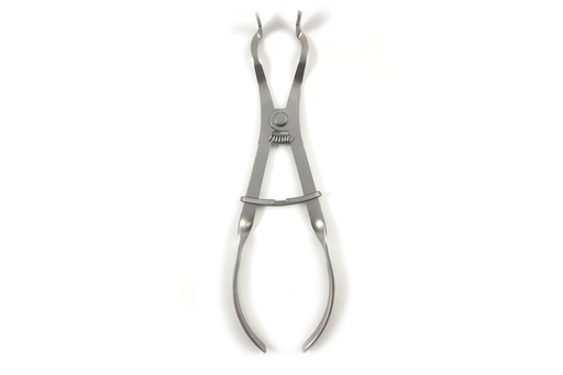 [IU-PCIVORY] Porta Clamps Ivory - Longitud de 17 cm
