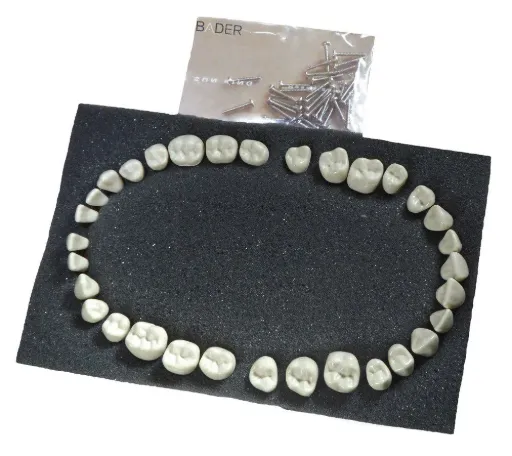 [IU-T114-BD] Dientes para Tipodonto AG3 BADER